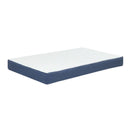 Cuccia cani da interno Bignè Cuccioletti